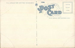 back
