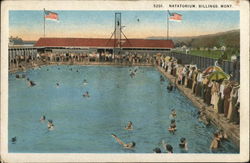 Natatorium Postcard