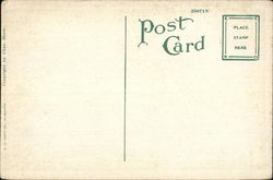 back