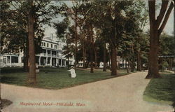 Maplewood Hotel Pittsfield, MA Postcard Postcard Postcard