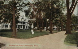 Maplewood Hotel Maplewood Hotel