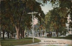 Main Street looking North from Town Hall Postcard