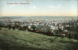 Birdseye View Postcard