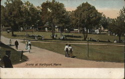 Scene at Northport, ME Postcard Postcard Postcard