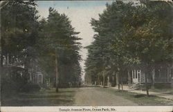 Temple Avenue Pines Postcard