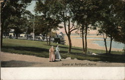 Scene at Northport, ME Postcard Postcard Postcard