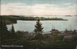 Machias Bay Machiasport, ME Postcard Postcard Postcard