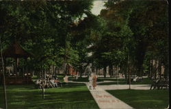 The Park Postcard