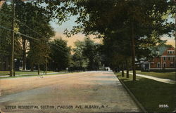 Upper Residential Section, Madison Ave. Albany, NY Postcard Postcard Postcard