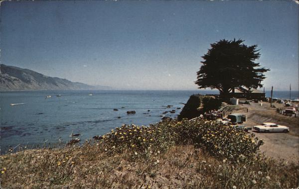 Shelter Cove, Humboldt County Whitethorn California