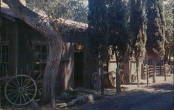 Eagle's Nest Lodge, Catalina Island Postcard