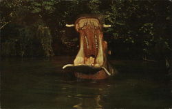 Adventureland Hippo Postcard