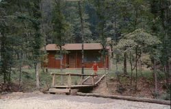 Deluxe Cabin, Watoga State Park Marlinton, WV Postcard Postcard Postcard