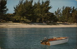 View of Beach Postcard