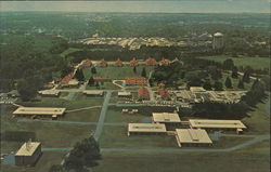 Parke-Davis - Parkedale Laboratories Postcard