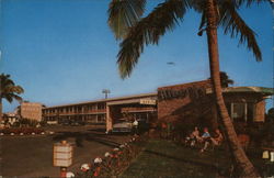 Albert's Motel Postcard