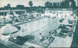 Miami Airport Motel and Apartments Miami Springs, FL Postcard Postcard Postcard