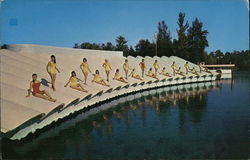 Weeki Wachee Park Postcard