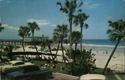 Beach and Palm Trees Postcard