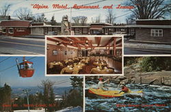 Alpine Motel, Restaurant and Lounge Postcard