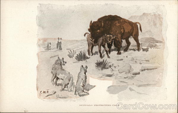 Buffalo protecting calf Charles Marion Russell