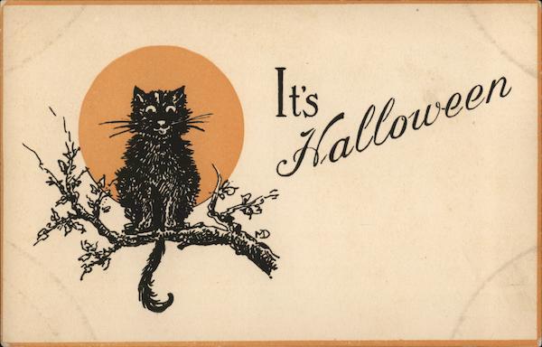 It's Halloween Black Cat