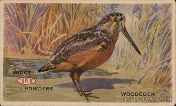 Shoot DuPont Powders Woodcock Advertising