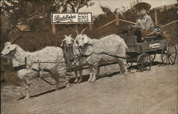 Sheep Pulling Studebaker Cart Advertising