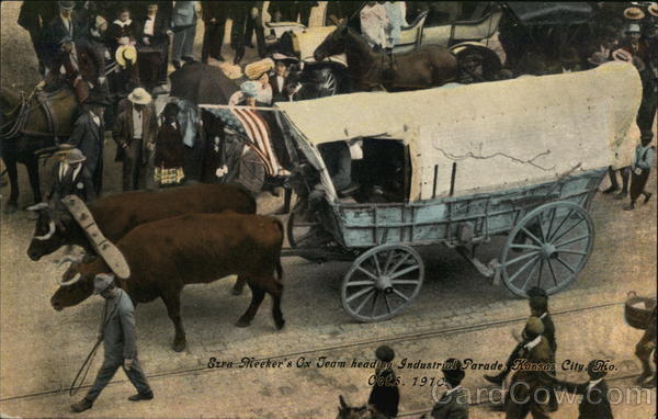 Sire Meeker's Ox-Drawn Tram Heads Industrial Parade, Kansas City, Oct. 5, 1910