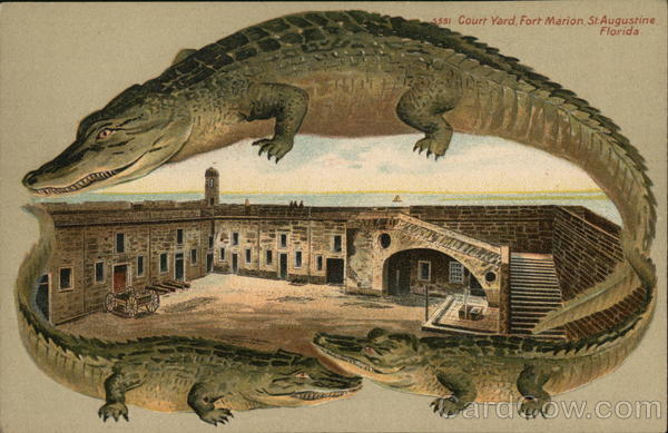 Courtyard, Fort Marion, Alligator Border S551 St. Augustine Florida