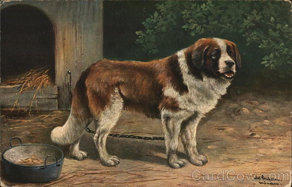 Brown and White Dog Dogs