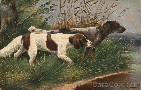 Pair of Hunting Dogs