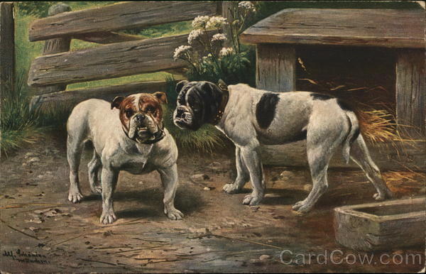 Two Dogs in Yard