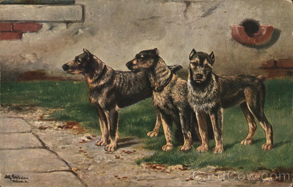 Trio of Dogs