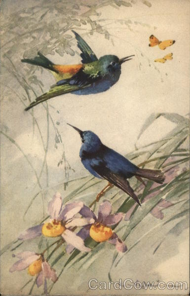 Two Blue Birds Near Two Yellow Butterflies