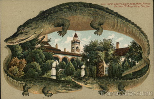 Alligator Border S553 Outer Court Colonnades, Hotel Ponce de Leon St. Augustine Florida