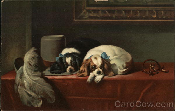 Spaniels of King Charles's Breed Dogs