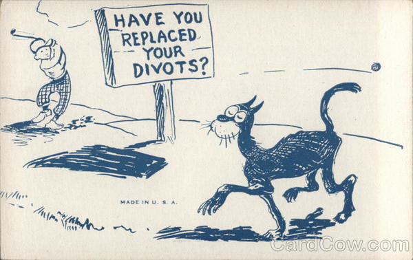 Have You Replaced Your Divots? Golf