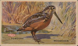Shoot DuPont Powders Woodcock Postcard