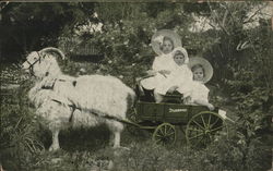 Goat Pulling Studebaker Wagon w/Girls Postcard