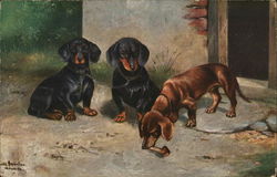 Three Dogs Postcard