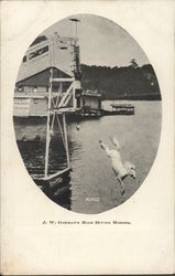 J.W. Gorman's High Diving Horses - King J.W. Gorman's High Diving Horses - King