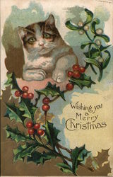 Cat and Holly Branch With Cats Postcard Postcard Postcard