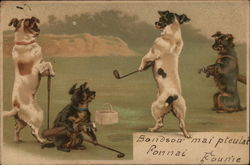 Dogs on the Fairway Postcard
