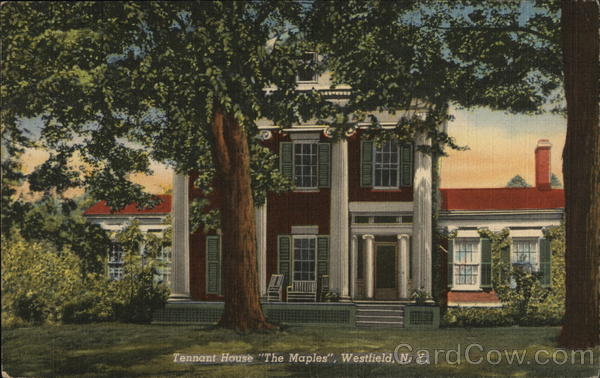the maples fulton new york