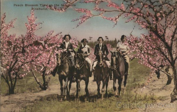 Peach Blossom Time in the Seedhills Pinehurst North Carolina