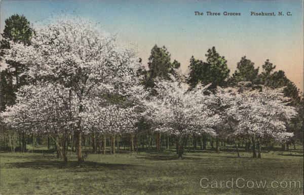 The Three Graces Pinehurst North Carolina