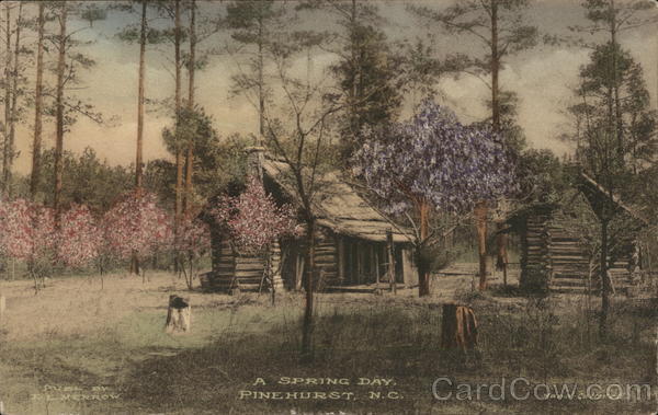 A Spring Day Pinehurst North Carolina