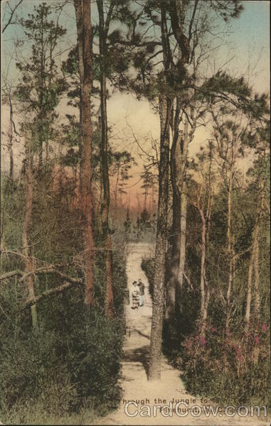 Through the Jungle PInehurst North Carolina