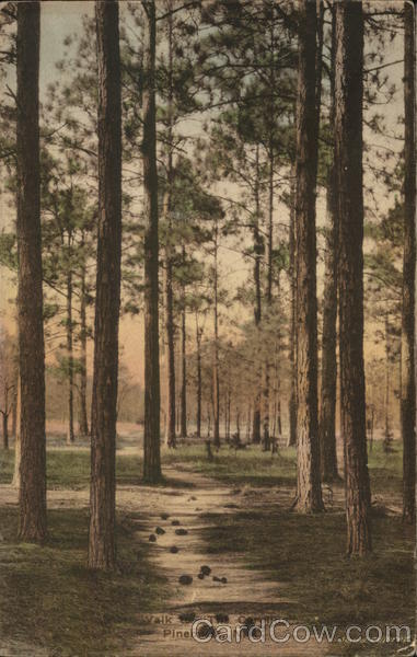 Walk to the Carolina Pinehurst North Carolina